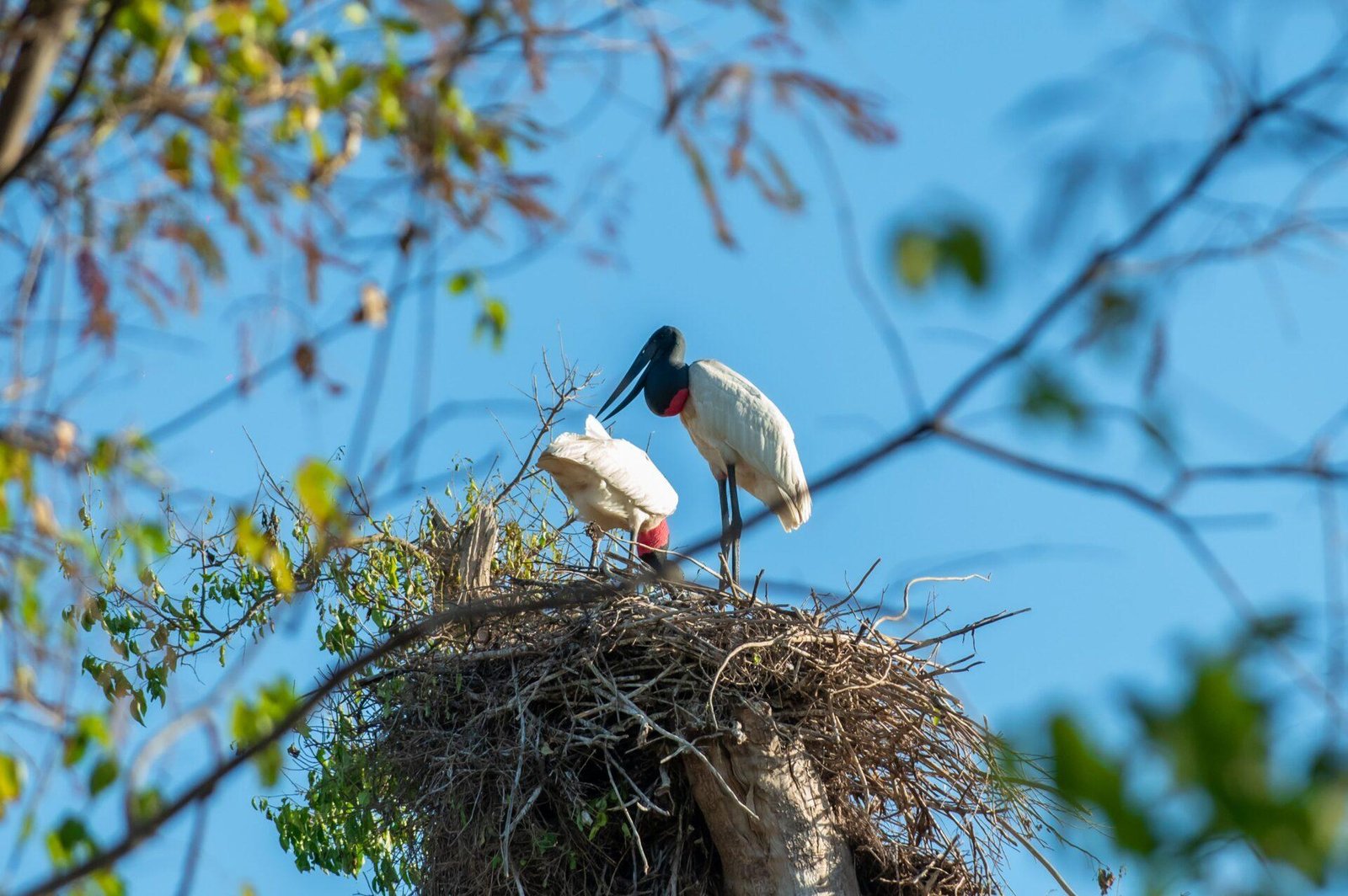 Copia-de-DSC_5884-min