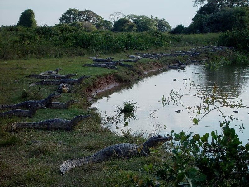 Imagem do WhatsApp de 2025-11-07 à(s) 15.02.38_3881dc74