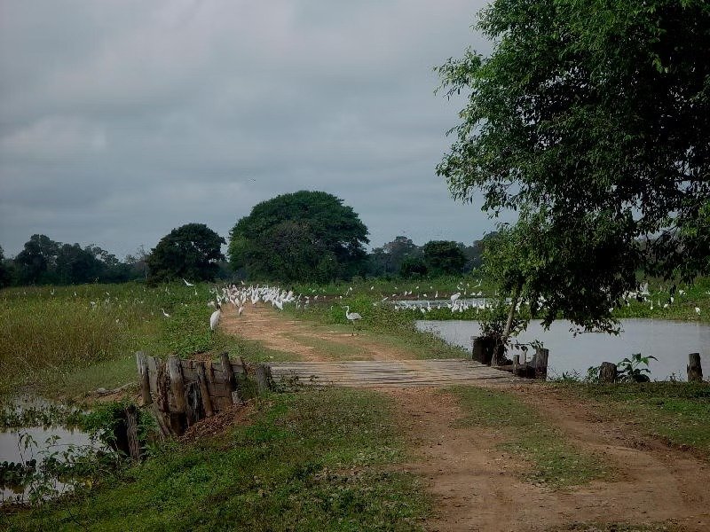 Imagem do WhatsApp de 2025-11-07 à(s) 15.02.39_f9c77912