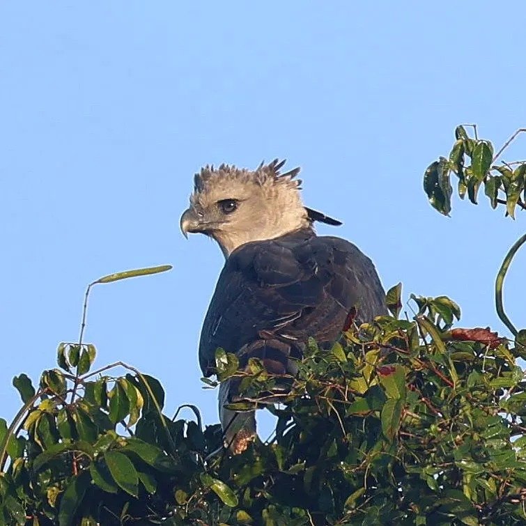 Imagem do WhatsApp de 2025-11-07 à(s) 15.45.30_80772d1a